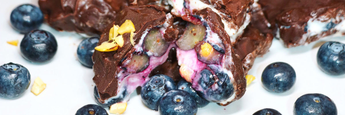 Frozen_Blueberry_Joghurt_Bites_1500x500