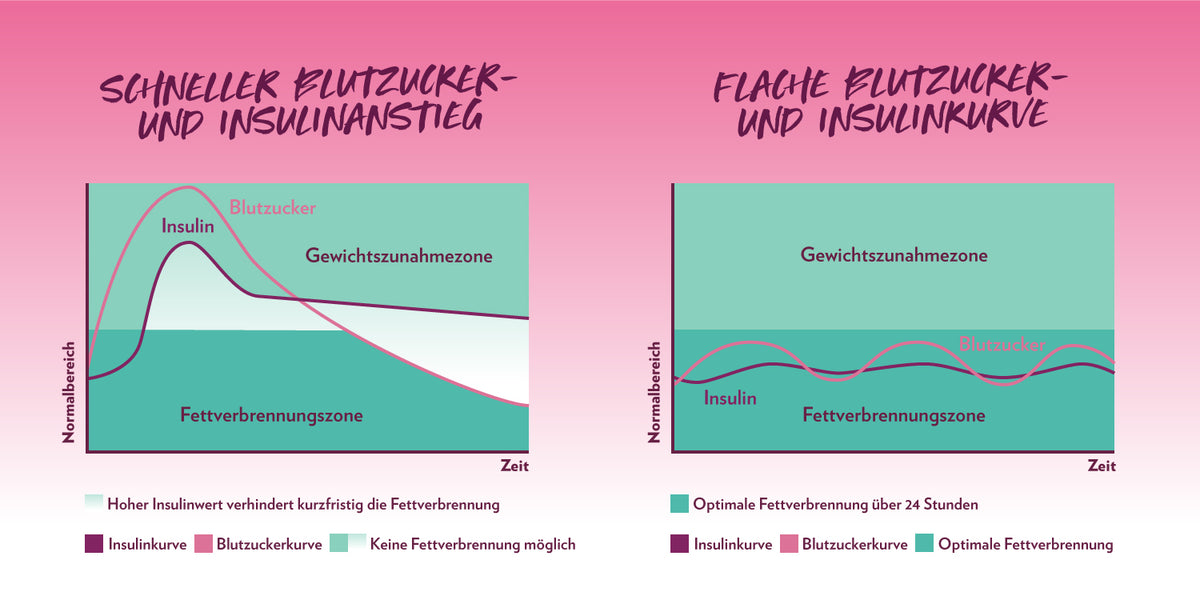 1500_Blutzucker-Insulinkurve-2