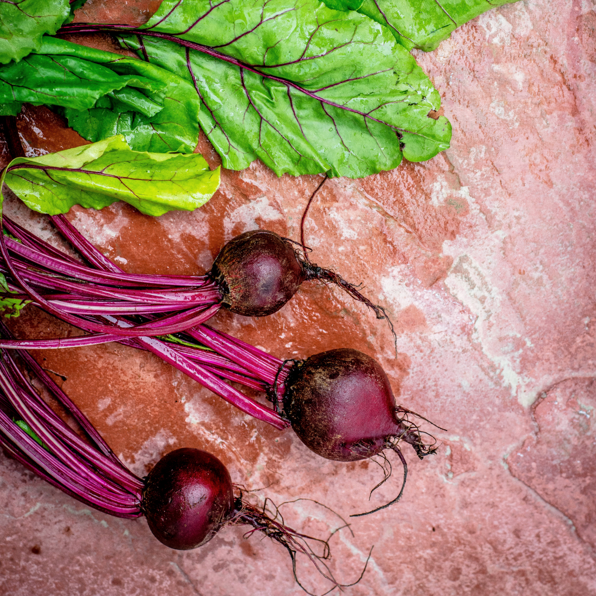 Rote Beete gemahlen Bio (100g)
