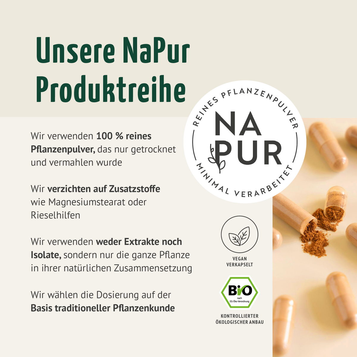 Bio Kurkuma Kapseln Nachfüllpack (400 Kapseln)