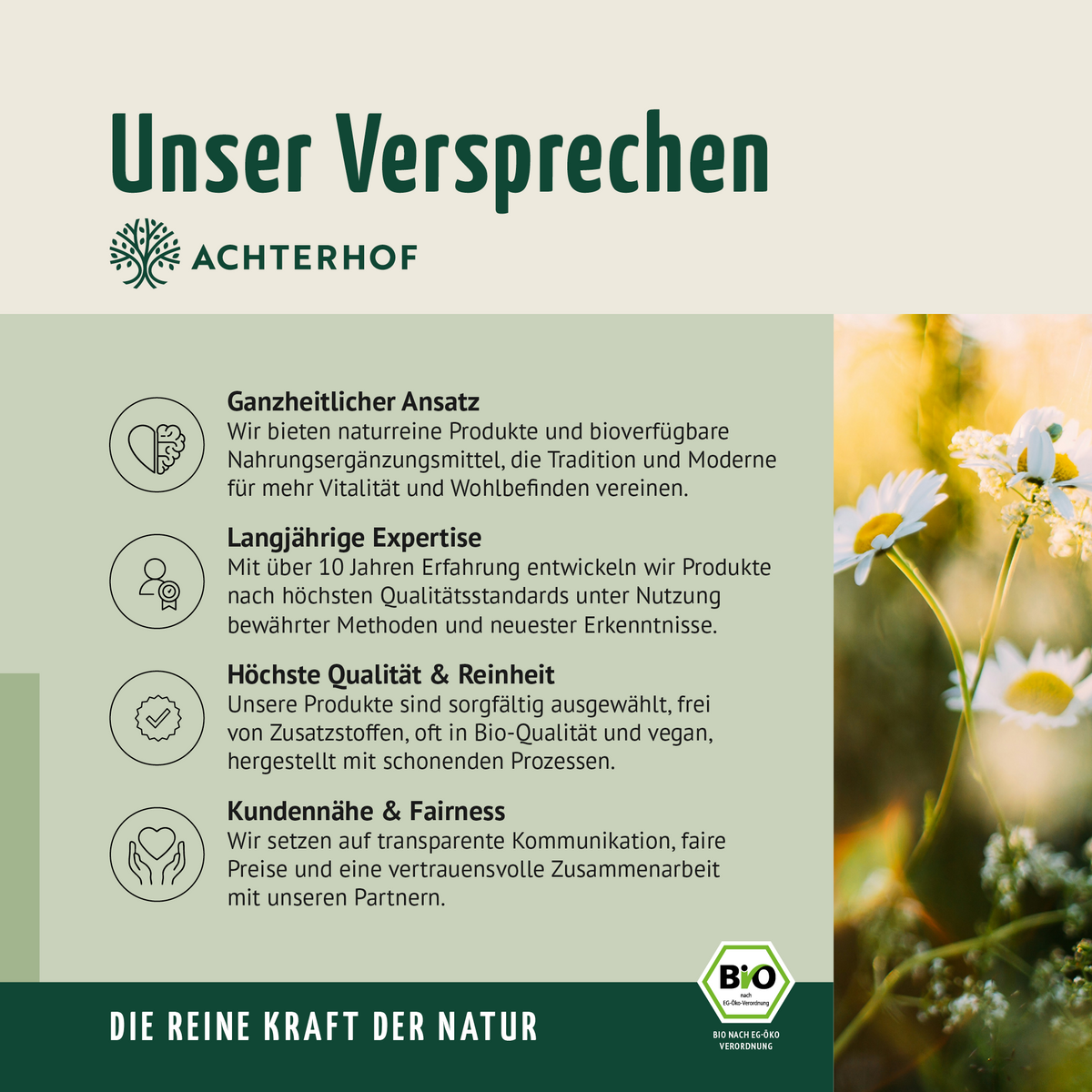 Bio Erbsenprotein Pulver (250g)