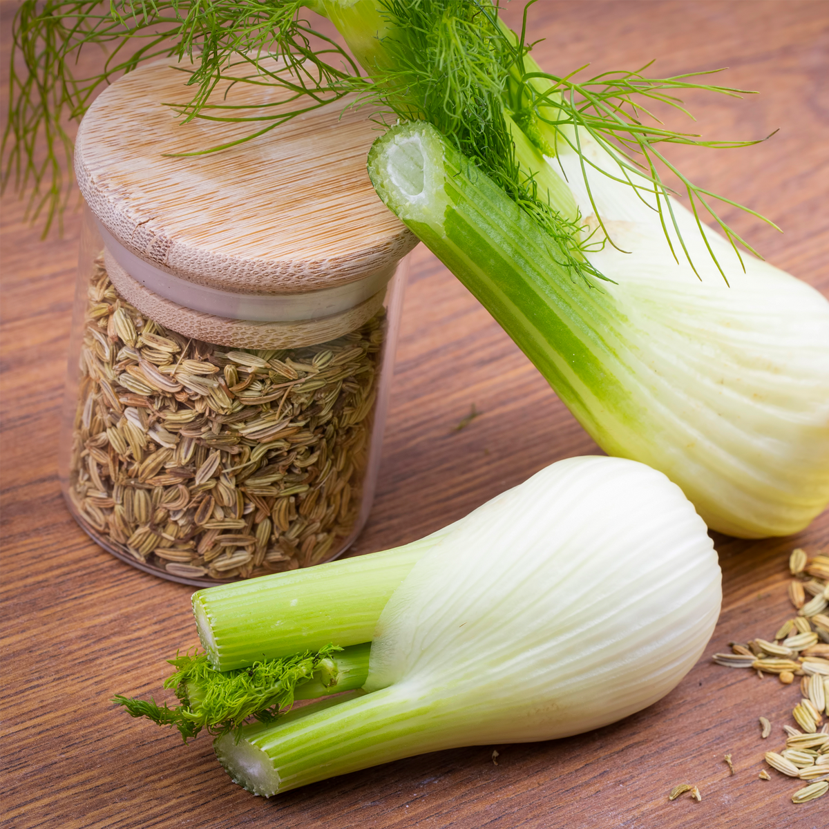 Fenchelsamen ganz (500g)