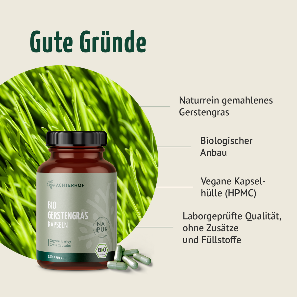 Bio Gerstengras Kapseln (180 Kapseln)