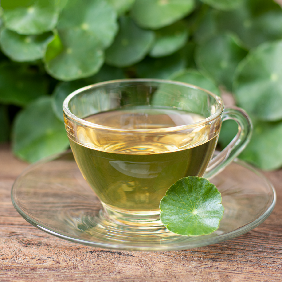 Gotu Kola Wassernabelkraut geschnitten (100g)