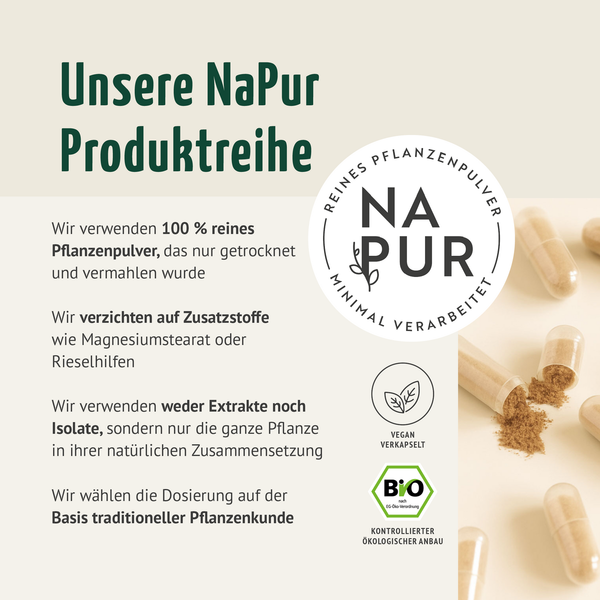 Ingwer Kapseln Bio (160 Kapseln)