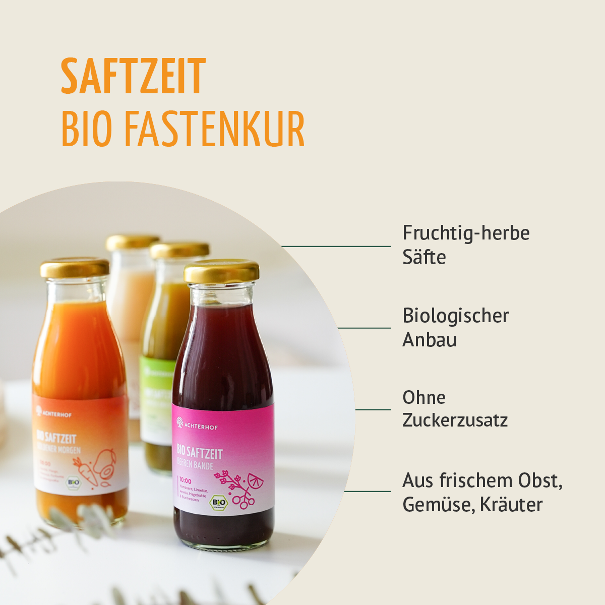 Saftzeit Bio Saftkur 1-7 Tage (6 Flaschen pro Tag)