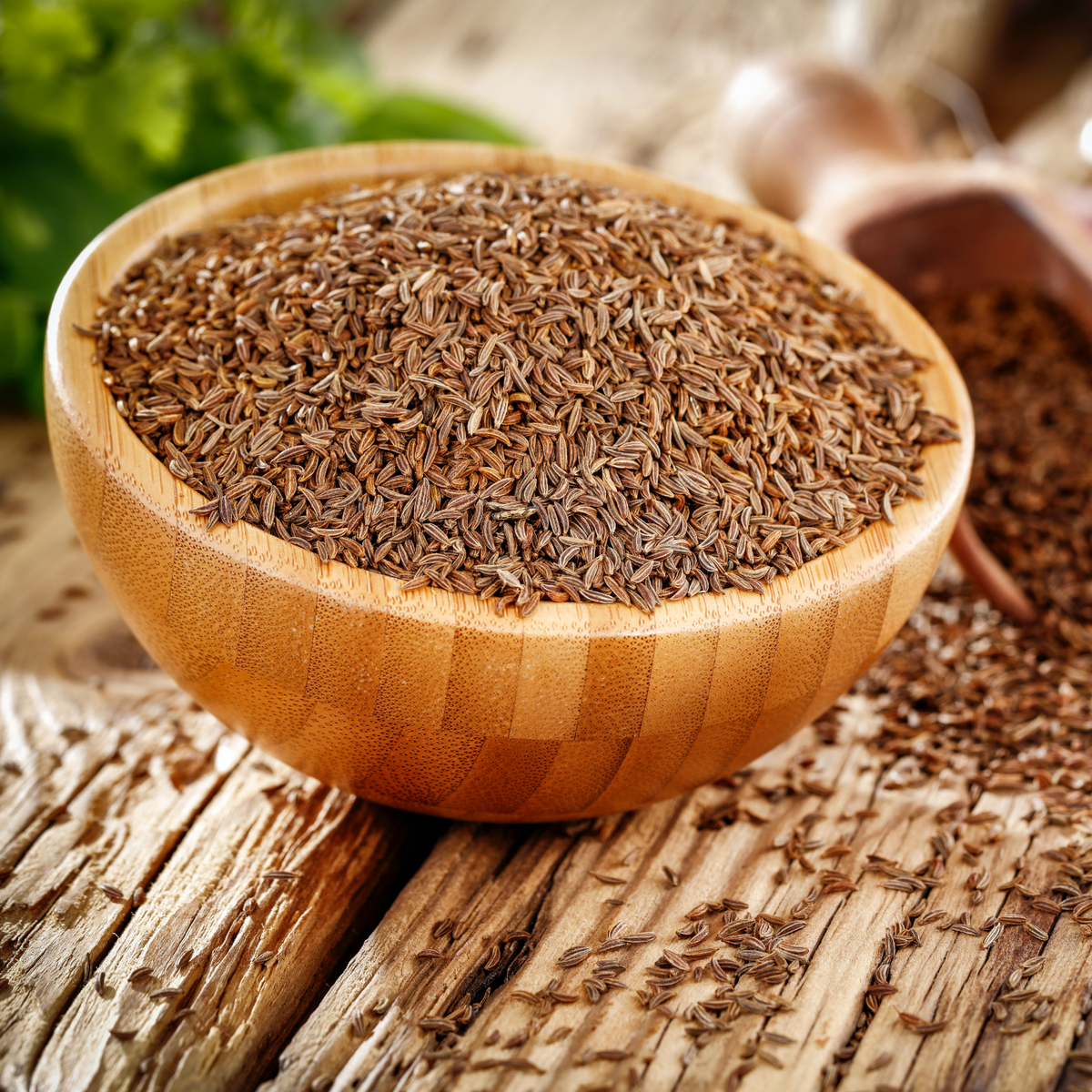 Kümmelsamen ganz  Bio (500g)