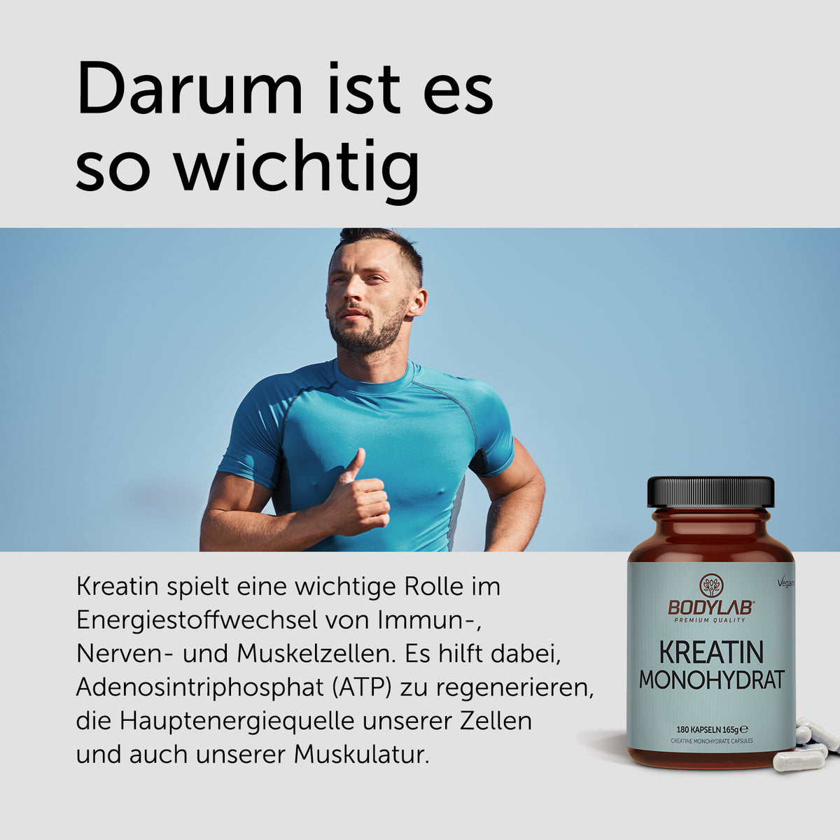 Kreatin Monohydrat (180 Kapseln)