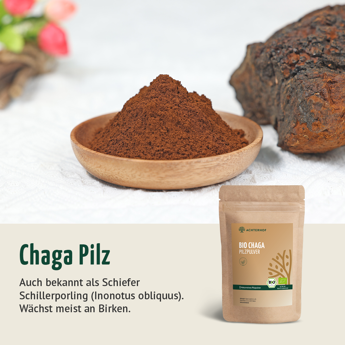 Bio Chaga Pilzpulver (250g)