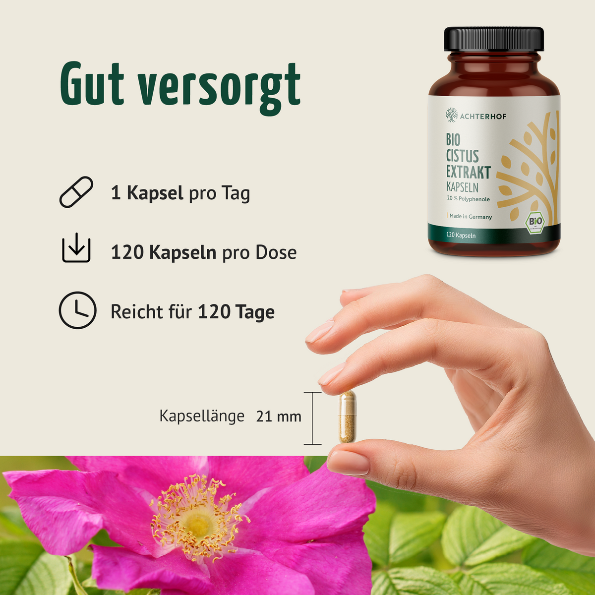 Bio Cistus Extrakt Kapseln (120 Kapseln)
