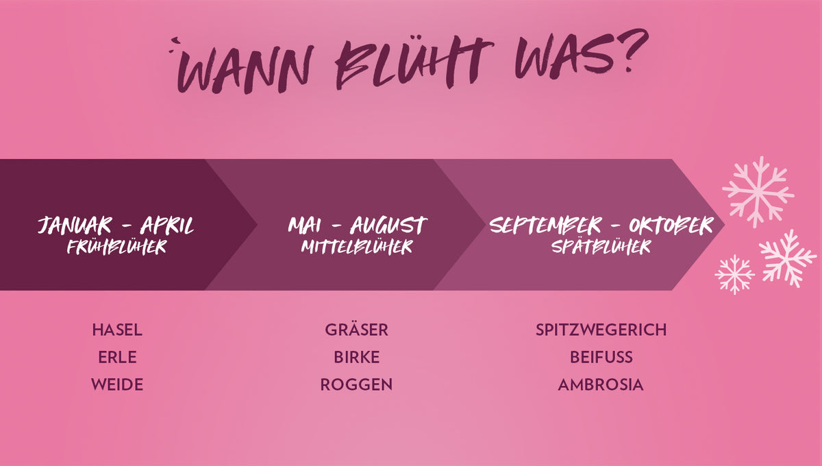 Heuschnupfen_Infographic_1500px_Wann