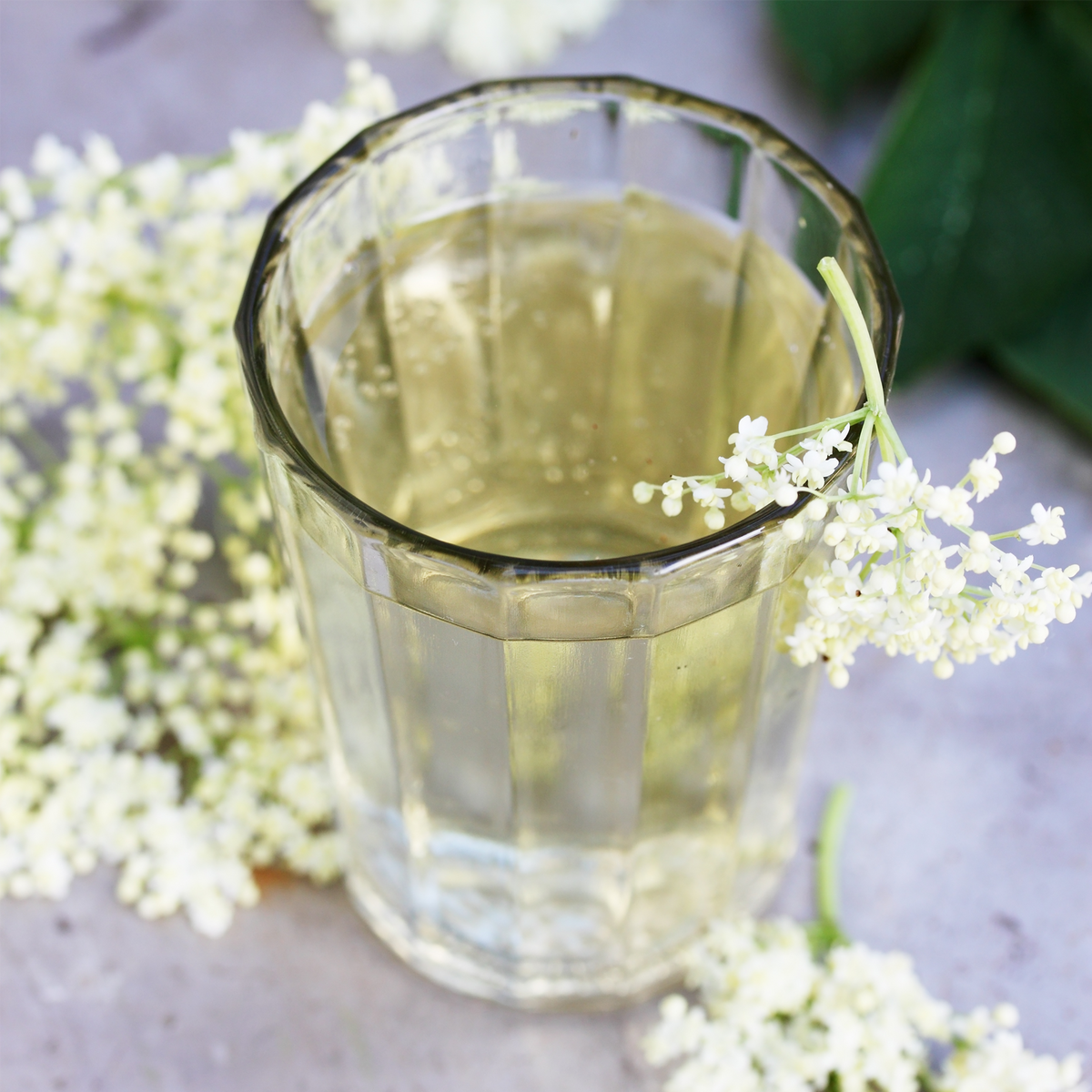 Holunderblüten geschnitten (500g)