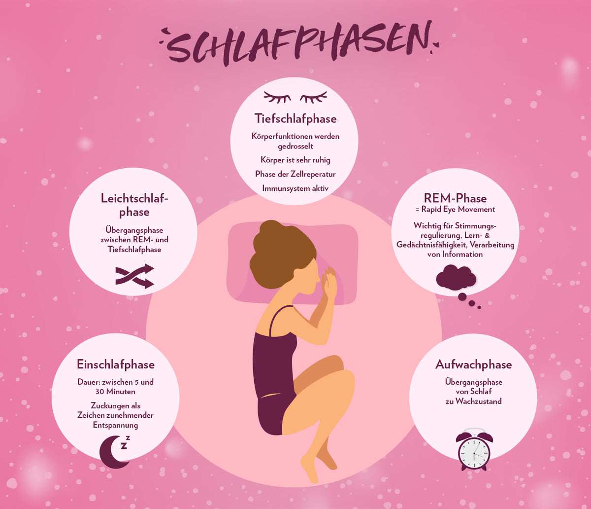 Schlaf_Infographic_Schlafphasen_1500x600px_200224_SaS