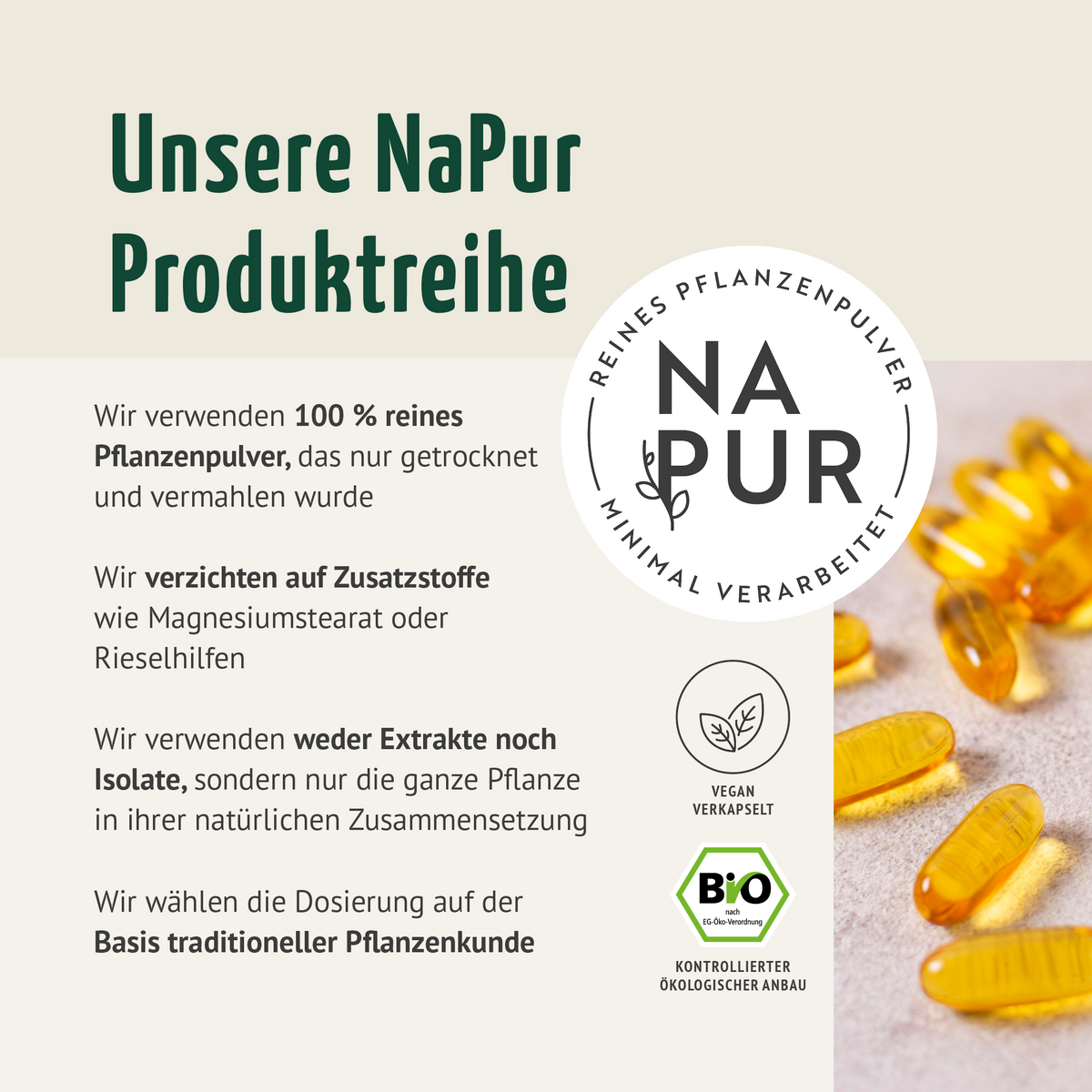 Bio Schwarzkümmel-Öl Kapseln (220 Kapseln)