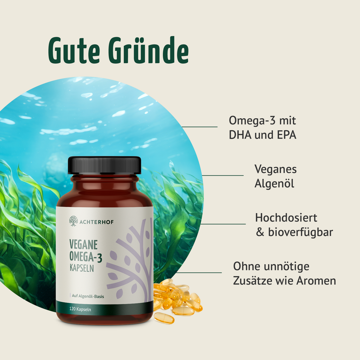 Vegane Omega-3 Kapseln (120 Kapseln)
