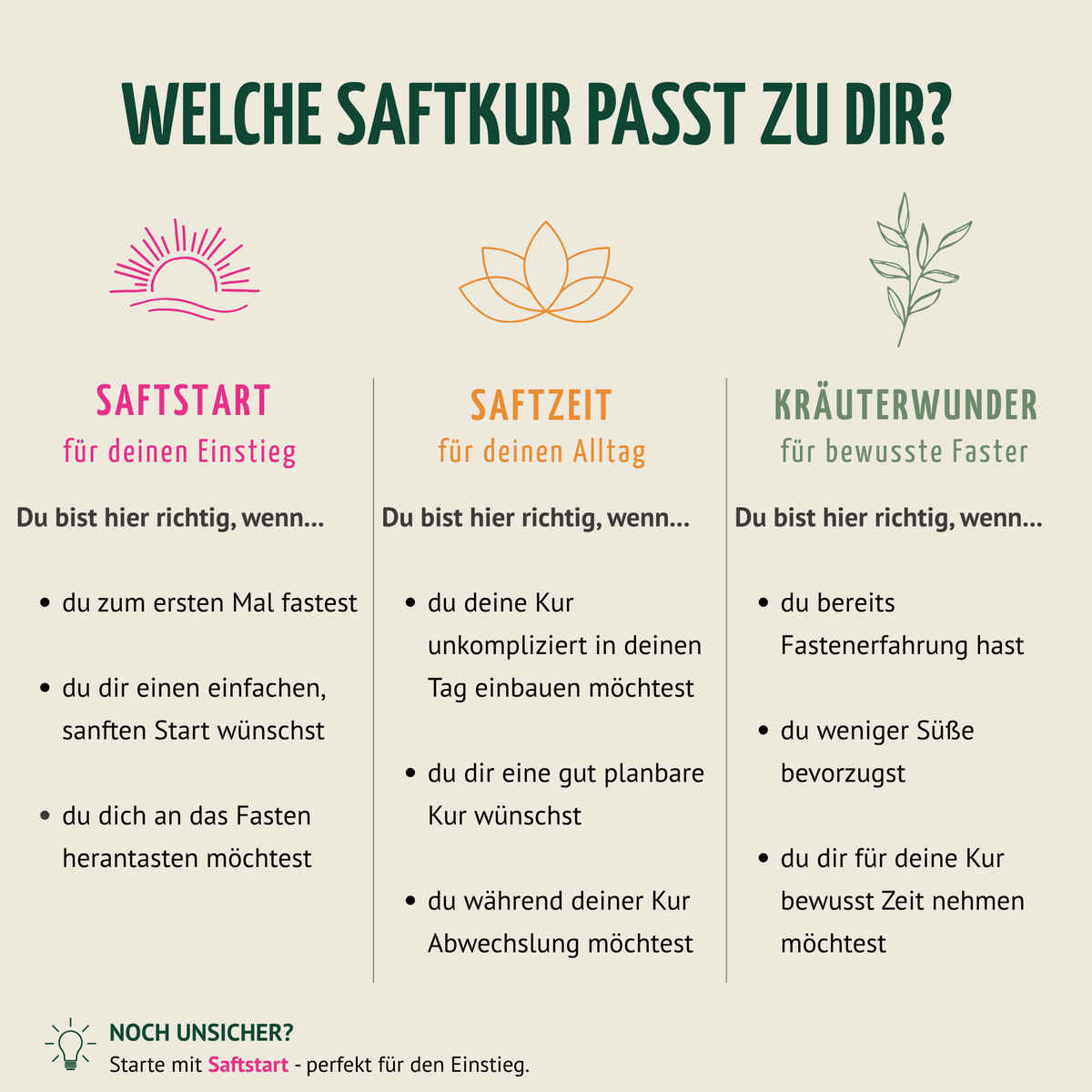 Saftzeit Bio Saftkur 1-7 Tage (6 Flaschen pro Tag)